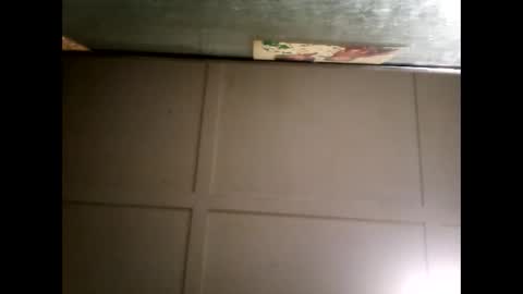 Warwick online show from 3, 3, 2025