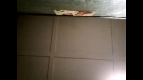 Warwick online show from 4, 3, 2025