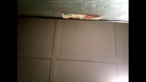 Warwick online show from 5, 3, 2025