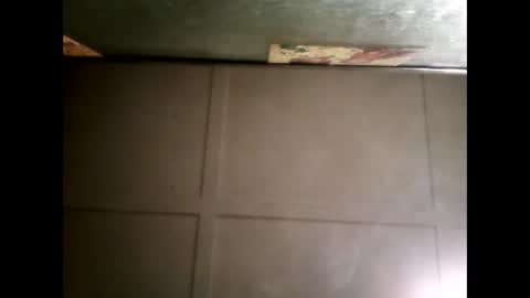 Warwick online show from 12, 3, 2025