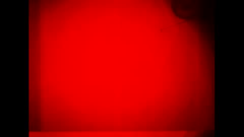 Warwick online show from 16, 9, 2025