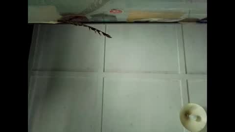 Warwick online show from 4, 10, 2025