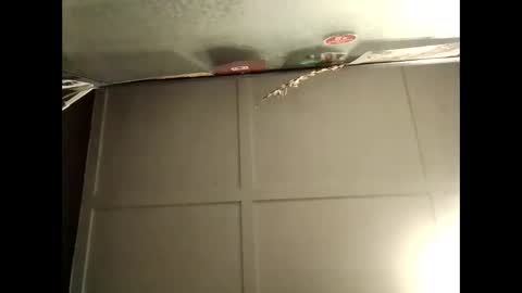 Warwick online show from 10, 10, 2025