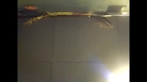 Warwick online show from 2, 11, 2025