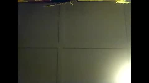 Warwick online show from 6, 11, 2025