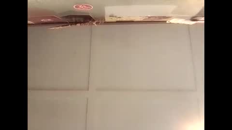 Warwick online show from 10, 11, 2025