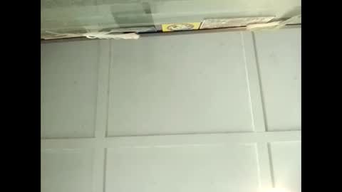 Warwick online show from 11, 11, 2025