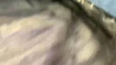 fukmegud69 online show from 12, 1, 2026