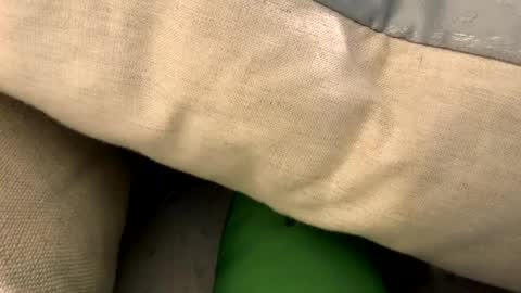 Snapshot of fun4him2018 chatting on 12, 1, 2026 fun4him2018 online show from 12, 1, 2026