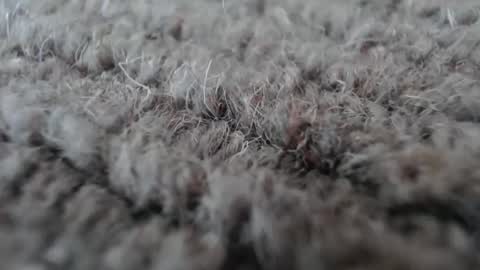 Snapshot of fuzzzman chatting on 19, 1, 2026 Mark online show from 19, 1, 2026