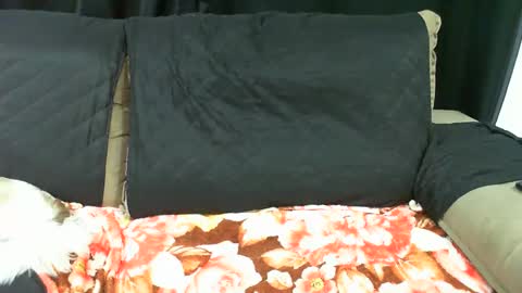 Snapshot of gabibrasil chatting on 14, 1, 2025 gaby layla online show from 14, 1, 2025