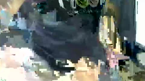 Snapshot of gabibrasil chatting on 10, 2, 2025 gaby layla online show from 10, 2, 2025