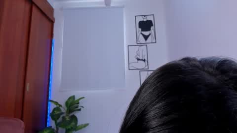    online show from 10, 2, 2026