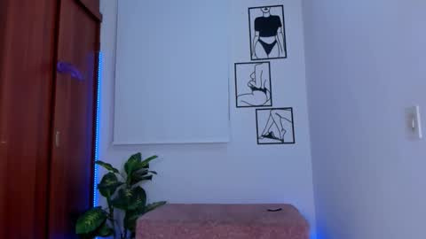    online show from 12, 2, 2026