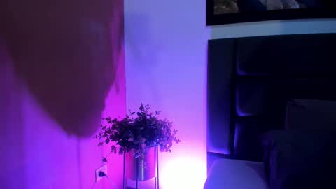 Snapshot of gahiabelucci chatting on 6, 3, 2026 GahiaBelucci online show from 6, 3, 2026