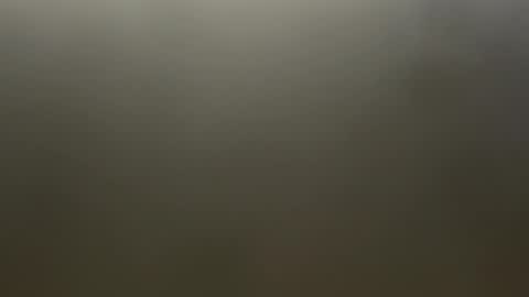 Snapshot of gaperguy2001 chatting on 12, 1, 2026 tweakyd online show from 12, 1, 2026