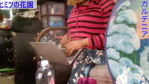 Gardenia online show from 5, 1, 2025