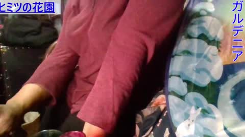 Gardenia online show from 9, 1, 2025