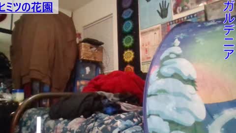 Gardenia online show from 21, 1, 2025