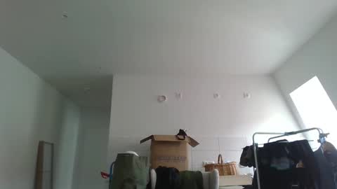 Garfield online show from 21, 3, 2026