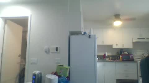 geekgamer41 online show from 13, 10, 2025