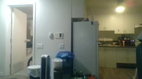 geekgamer41 online show from 23, 11, 2025