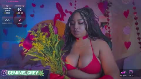 Snapshot of geminis_grey chatting on 15, 2, 2026 Geminis online show from 15, 2, 2026