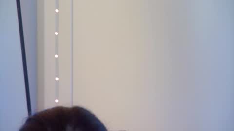 Snapshot of gentlerossi chatting on 1, 10, 2025 GentleRossi online show from 1, 10, 2025