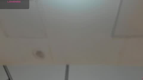 Georgina online show from 31, 3, 2026