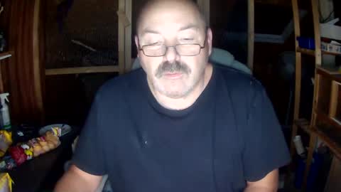 Snapshot of germany_50 chatting on 15, 12, 2024 germany_50 online show from 15, 12, 2024