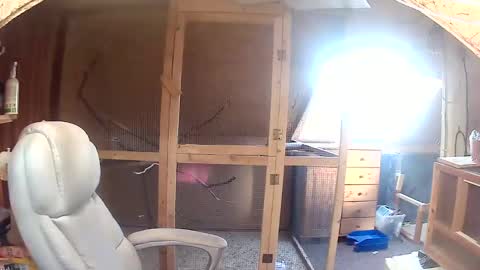 Snapshot of germany_50 chatting on 20, 9, 2025 germany_50 online show from 20, 9, 2025