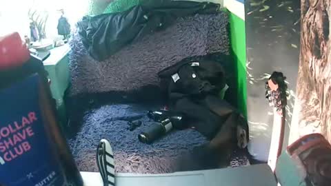 Snapshot of getfucked321jake chatting on 16, 1, 2025 getfucked321jake online show from 16, 1, 2025