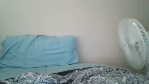 ghansberger2 online show from 28, 3, 2026