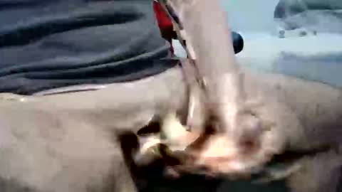 ghost1805 online show from 6, 10, 2025