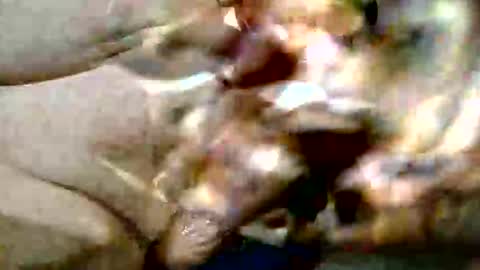 ghost1805 online show from 29, 10, 2025