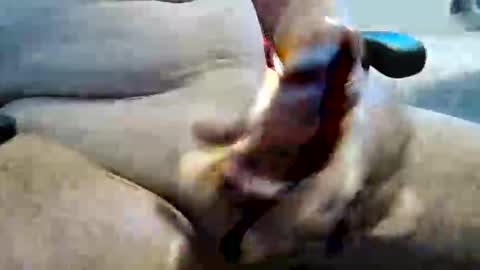 ghost1805 online show from 10, 11, 2025