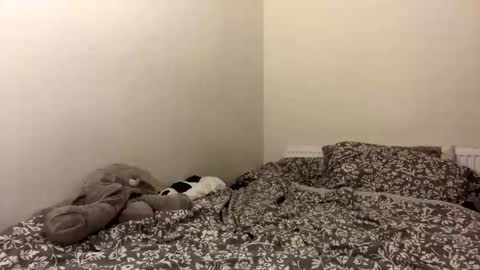 Snapshot of ghostpetal chatting on 12, 10, 2025 ghostpetal online show from 12, 10, 2025