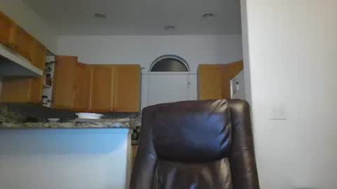 Snapshot of gildedsins1 chatting on 30, 1, 2025 WildBoyVibes online show from 30, 1, 2025