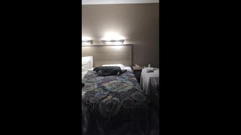 gilf_gamer online show from 1, 3, 2026