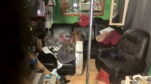 GinaGender online show from 24, 11, 2025