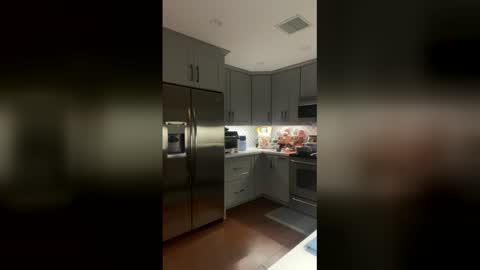 gingerpinga online show from 12, 1, 2026