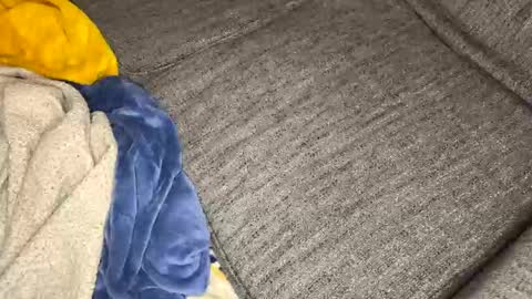 gingerrslut online show from 13, 3, 2026