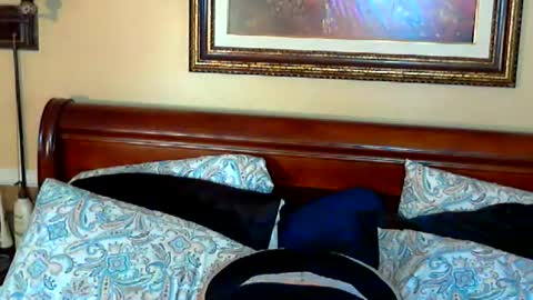 Ginny Rose online show from 15, 5, 2026