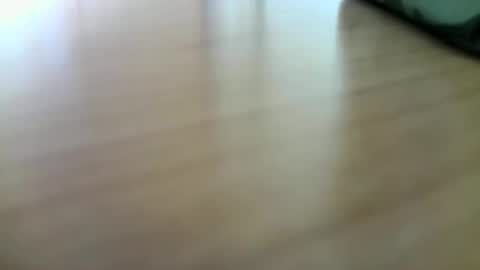 Snapshot of giovet chatting on 29, 12, 2024 giovet online show from 29, 12, 2024