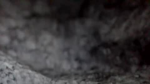 Snapshot of givr6inches chatting on 7, 12, 2024 e-Bizl online show from 7, 12, 2024