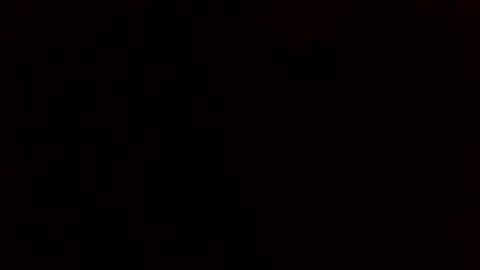 Snapshot of givr6inches chatting on 11, 2, 2025 e-Bizl online show from 11, 2, 2025