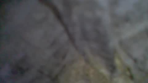 Snapshot of givr6inches chatting on 11, 9, 2025 e-Bizl online show from 11, 9, 2025