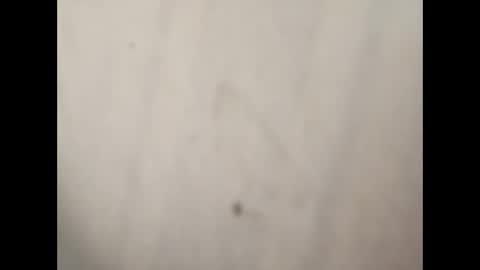 Snapshot of gman3883 chatting on 7, 1, 2025 Gman online show from 7, 1, 2025