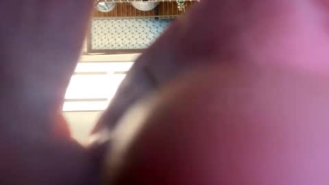 gngnxxx online show from 16, 4, 2026