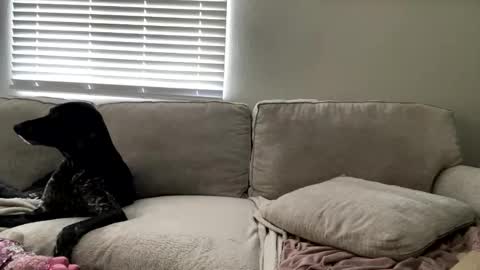 Snapshot of goddessmayvn chatting on 4, 5, 2026 GoddessMayvn online show from 4, 5, 2026